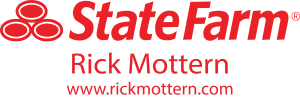 State Farm Sneaker Logo